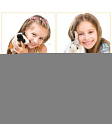Bunny & Guinea Pig Grooming Kit | 3- Piece Bath Brush Set with Adjustable Hand Strap - Buy Online on SooperMarket.com
