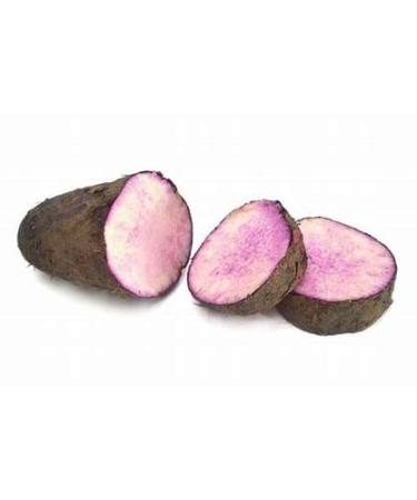 Veenas Rasavalli Kilangu | 500G | 100% Fresh Fruit | Srilankan Origin Rasavalli 500G