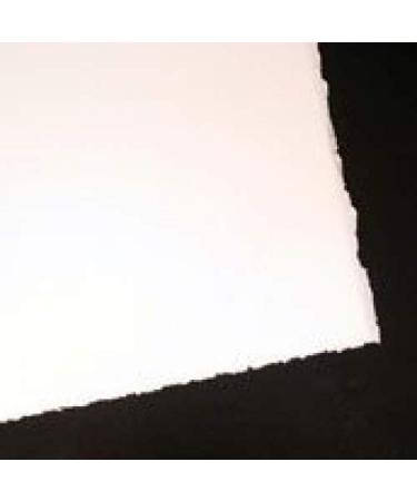 RIVES BFK White 22X30 Pack of 5