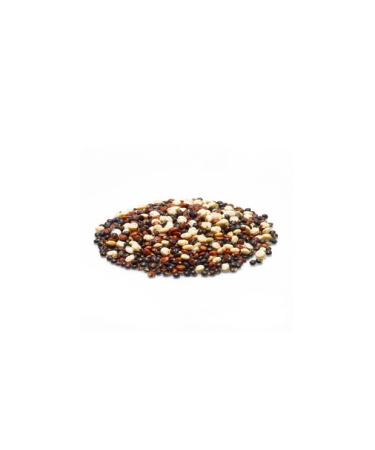Yupik Organic Tri-Color Mixed Quinoa 2.2lb - Non-GMO, Vegan, Gluten-Free - Buy Online on SooperMarket.com