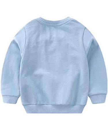 Taigood Kids Jumper for Boys | Cotton Sweatshirt | Long Sleeve T-shirt | 5-6 Years | Light Blue - Buy Online on SooperMarket.com