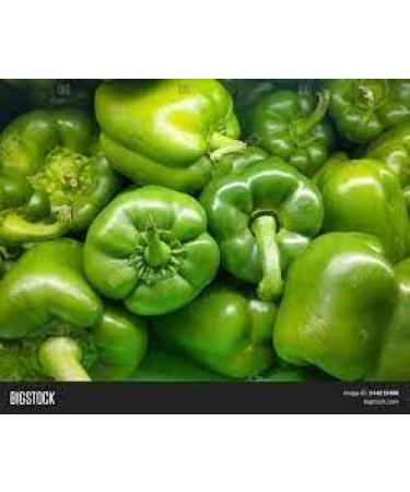 Seelans Paprica Green | 1KG | Green Capsicum | 100% Fresh Vegetable | Indian Origin Next Day Shipping