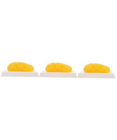 Gatuida Anatomical Fat 3pcs Fat Model Models Demonstration Model Human Fat Anatomical Body Fat Replica Human Body Module