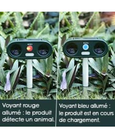Richya New 2 Cat Fright - Ultrasonic Solar Animal Defense | Waterproof 5 Modes for Cats Dogs & Martens - Buy Online on SooperMarket.com