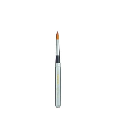 Princeton Aqua Elite  Series 4850  Synthetic Kolinsky Watercolor Paint Brush Travel Round  6