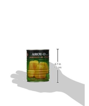 Aroy-D Jackfruit in Syrup 20oz (Pack of 6) - Sweet and Tropical Delight - Buy Online on SooperMarket.com