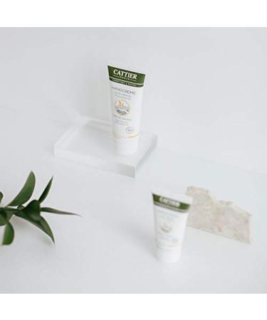 Cattier Hand Cream with White Healing Clay | Vegan Natural Moisturizer for Dry Hands | 75ml - Buy Online on SooperMarket.com