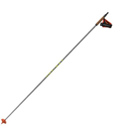 FISCHER Skiing Lightweight High-Performance Storm 6 Race Ghost Grey Nordic Poles 160 cm