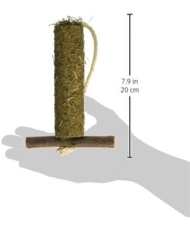 Rosewood Naturals Hay-n-Treat Swing for Small Animals 1 Count (Pack of 1) - Buy Online on SooperMarket.com