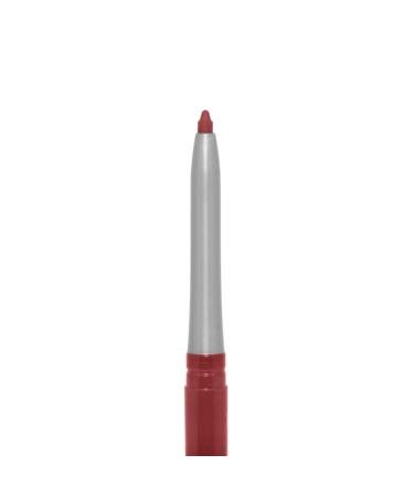 Palladio Retractable Waterproof Lip Liner - Raisin | High Pigment, Creamy, Smudge Proof, Long Lasting | No Sharpener Needed | 1 Count - Buy Online on SooperMarket.com