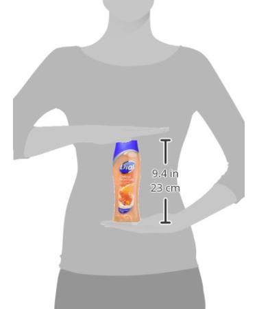 Dial Body Wash 16 Fl Oz Pack of 6 - Pamper & Indulge with Silk & Seaberry - Buy Online on SooperMarket.com