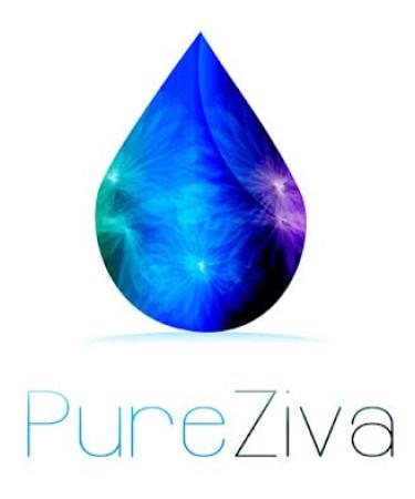 Pure Ziva Gold Bronze Shimmer Metallic Copper Vegan Eyeshadow (Talc & Paraben Free) - Buy Online on SooperMarket.com
