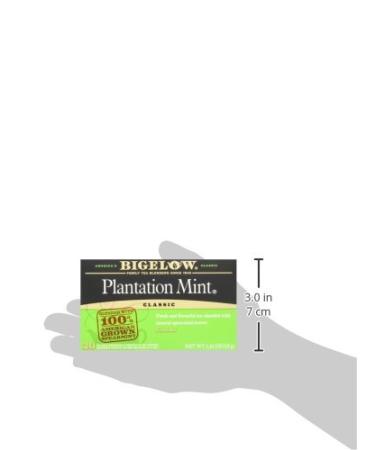 Bigelow Perfectly Mint Black Tea - Caffeinated, 120 Tea Bags (20 Count x 6 Pack) - Buy Online on SooperMarket.com