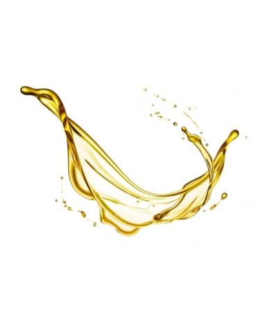 Black cumin oil ORGANIC 1 liter from Dragonspice Naturwaren 1 liter