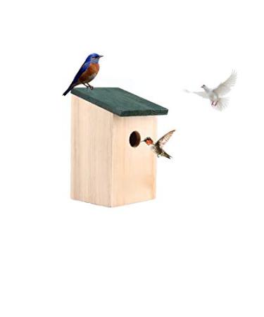 ADEPTNA Wooden Wild Bird Nest Box Bird House for Small Birds Sparrows Blue Tit Great Tits Robin Ready Assembled