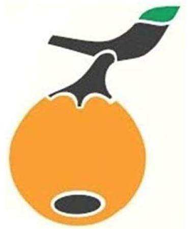 Womersley Fine Fruit and Herb Vinegar - Orange and Mace (150ml) - Ideal for Cooking, Stir-Fries, Sauces, and Salad Dressings - Buy Online on SooperMarket.com