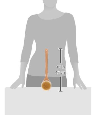 Clean Logic Wooden Handle Bristle Bath Brush - 1 Pack - Buy Online on SooperMarket.com