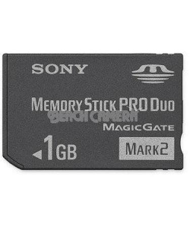 Sony 1 GB Memory Stick PRO Duo Flash Memory Card MSMT1G
