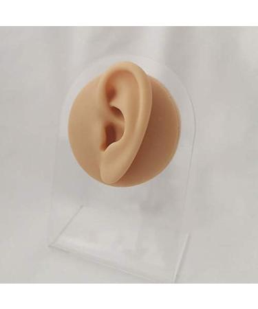 Silicone Ear Model - Human Ear Model Simulation - for Human Body Piercing Acupuncture and Moxibustion Ear Practice Ear Teaching - Buy Online on SooperMarket.com