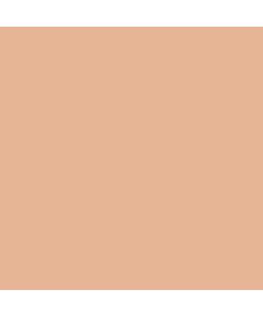 Mii Cosmetics Eyeshadow Base/Primer - Alert 02 | Extend Wear and Enhance Eye Prep - Buy Online on SooperMarket.com