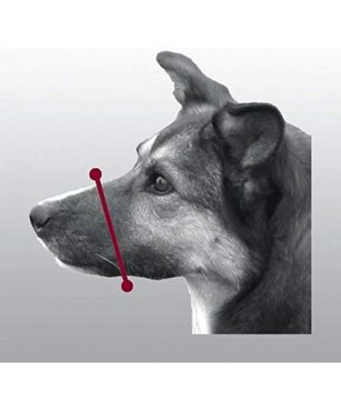 Trixie 19262 Black Dog Muzzle with Mesh Insert - Polyester S-M | 1 Piece for Comfortable & Safe Training - Buy Online on SooperMarket.com