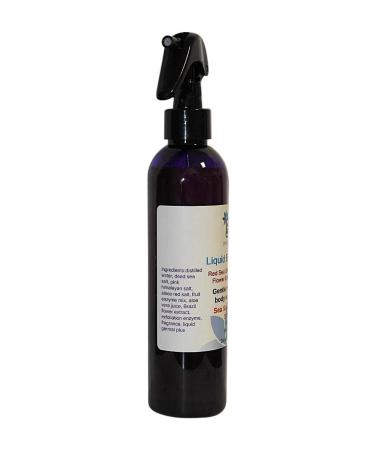 Red Sea Salt & Brazil Flower Extract Liquid Exfoliator - Gentle Overnight Body Scrub 8oz | Diva Stuff - Buy Online on SooperMarket.com