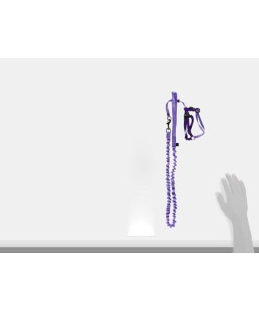 Buy PetSafe Come with Me Kitty Harness & Bungee Cat Leash - Medium Purple Lilac for Comfortable Outdoor Adventures - International Shipping Available - Buy Online on SooperMarket.com