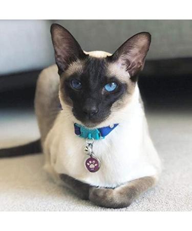 Kittyrama Cat & Kitten Neck Bands - Vogue Featured Vet Approved Hypoallergenic & Comfortable - Shop Now! - Buy Online on SooperMarket.com