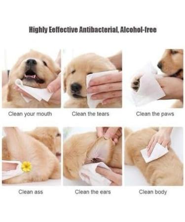 Zipy Dog Wipes - 350 Natural Deodorizing Care Cloths for Cats & Dogs | Fragrance-Free Moisture Towels for Paws Ears & Body - Buy Online on SooperMarket.com