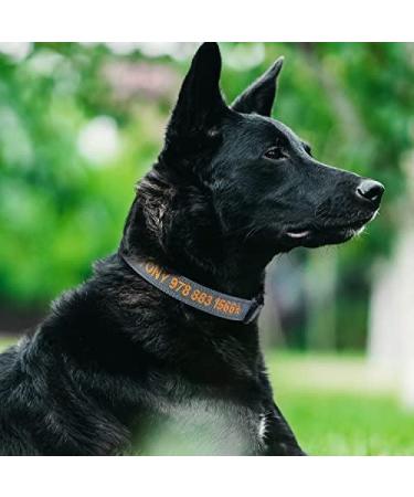 Tagme Personalized Dog Collar for Medium Dogs - Embroidered Reflective Nylon with Pet Name & Phone Number - Gray (1 Pack) - Buy Online on SooperMarket.com