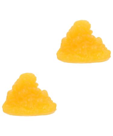 Gatuida Nutritionist 2pcs Fat Model Models Human Body Fat Replica Human Body 1-Pound Fat Replica Base Fitness Sports Fat 1lb