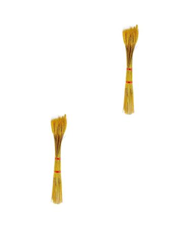 Abaodam 200 Pcs Dried Wheat Ears Bouquet Decked Dried Flower Bouquet Wheat Sheave Bundle Wheat Sheave Flower Wedding Decoration Wheat Stalk Ears of Wheat Gift Dried Flowers. Yellowx2pcs 52X10CMx2pcs
