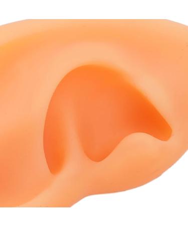 Ear Model ANGGREK 2 Pieces Ear Modeling Tools Hearing Amplifier Dispalying Assistance Display Ear Model Ear Wraps for Teaching Replacement - Buy Online on SooperMarket.com