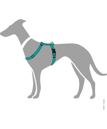 HUNTER Vario Rapid Harness 48-70 cm - Adjustable Petrol for Stylish & Comfortable Pet Travel | International Shipping Available - Buy Online on SooperMarket.com