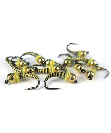 Hemingway's Synthetic Tapered Peacock Quill Set - Pack of 6 - Buy Online on SooperMarket.com
