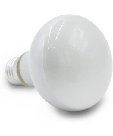 Terra Exotica 75W Heat Spot Bulb for Reptiles - 3 Pack Terrarium Lighting - Optimal Heat for Reptile Habitats - 25W 40W 60W 100W 150W Options Available - Buy Online on SooperMarket.com