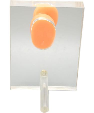Silicone Right Ear Model with Fine Details - Ideal for ENT Hospitals - Buy Online on SooperMarket.com