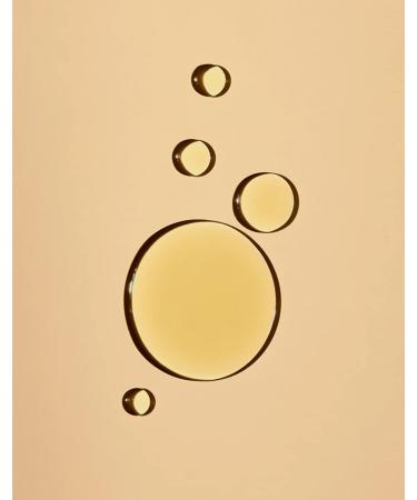 Undaria Algae Body Oil 5 oz - Firming & Fast Absorbing Vegan Seaweed Moisturizer - Buy Online on SooperMarket.com