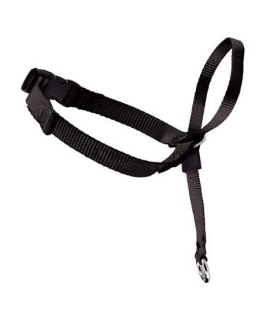 PetSafe Easy Walk Head Collar