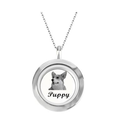 Personalised Pet Fur Locket Pendant Necklace Engraved Photo Name Stainless Steel Custom Pet Keepsake Necklace Portrait Urn Necklace Memorial Gift For Loss Love Pets silver