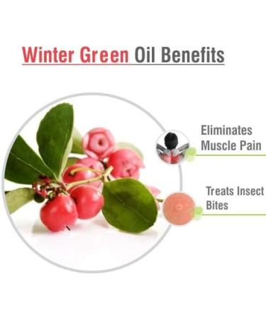 Crysalis Wintergreen (Gaultheria Procumbens) Oil |100% Pure & Natural Undiluted Essential Oil Organic Standard|for Undiluted Therapeutic Grade |Aromatherapy Oil| for All Skin Types- 30ml with Dropper - Buy Online on SooperMarket.com