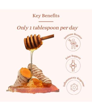 LES ABEILLES DE MALESCOT Turmeric Honey 4.4oz - Natural Immune Support & Anti-Inflammatory - Buy Online on SooperMarket.com