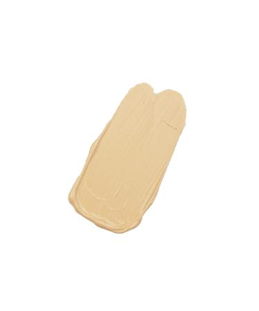 Matte Cover Liquid Makeup - Long-Lasting Foundation & Tinted Moisturizer | Control Shine with Model PKMHR300 - Buy Online on SooperMarket.com
