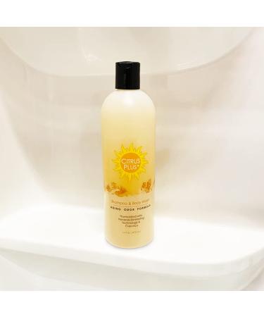 B a Vida Deodorizing Citrus + Elder Shampoo & Body Wash Soap - 16 oz - Made with Persimmon to Eliminate Nonenal & Old Person Smell Naturally - Buy Online on SooperMarket.com