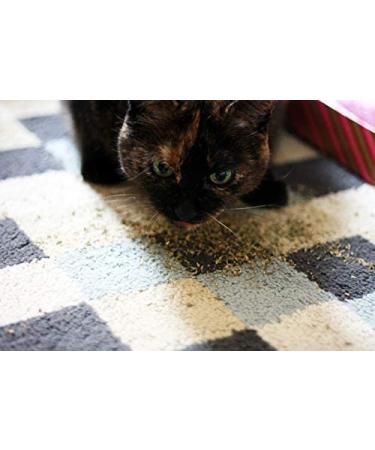 Meowijuana Kalico Kush - Large Bottle - Valerian Root and Catnip Blend - Buy Online on SooperMarket.com