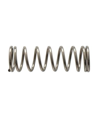 Iwata I 206 2 Valve Spring (Eclipse G3 G5)
