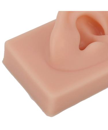 Flexible and Comfortable Human Ear Model for Acupuncture Training (Dark Skin Color) - Buy Online on SooperMarket.com