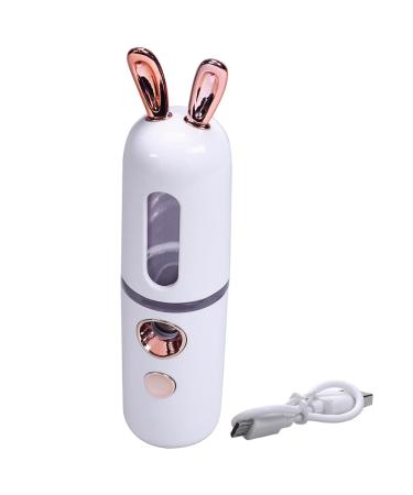 New Mini USB Rechargeable Nano Hydrator Sprayer Women Beauty Instruments Home Use Humidifier Face Steamer Easy Install Easy to Use White