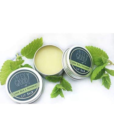 The Ilex Wood - Lemon Balm and Peppermint Lip Balm - All natural coldsore prevention palm oil free cruelty free plastic free moisturising lip balm handcrafted in the UK - 10ml - Buy Online on SooperMarket.com