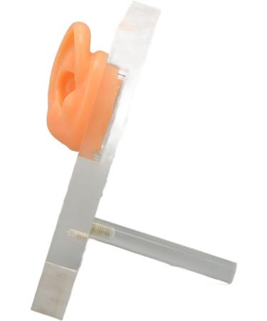 Silicone Right Ear Model with Fine Details - Ideal for ENT Hospitals - Buy Online on SooperMarket.com